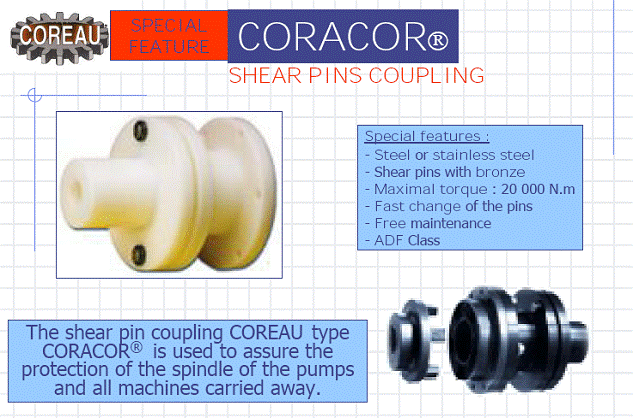 SPECIAL PURPOSE GEAR PUMPS